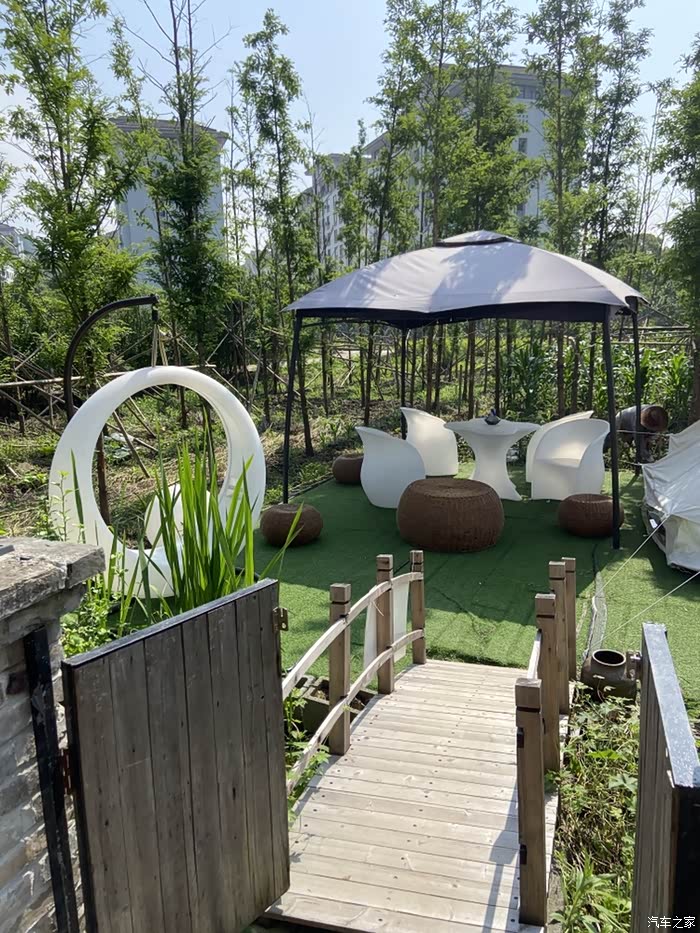 远离城市喧嚣 邂逅老樟树民宿