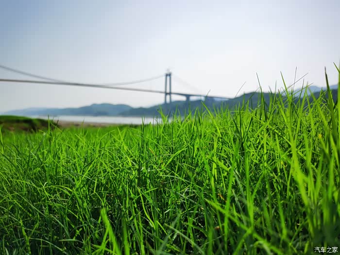 疫情不扎堆,重庆南平坝周边游