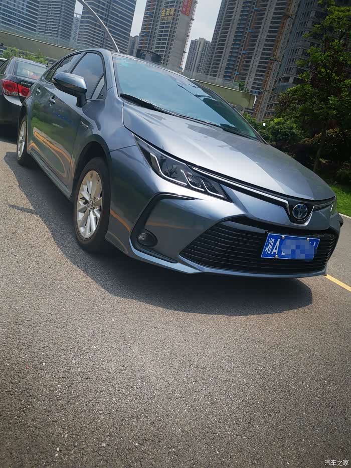 梅溪湖最亮眼的小妖精,天青石色卡罗拉双擎!