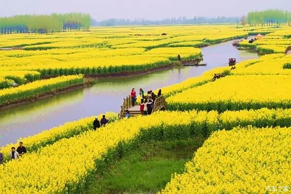 重庆最强踏青攻略了解一下?