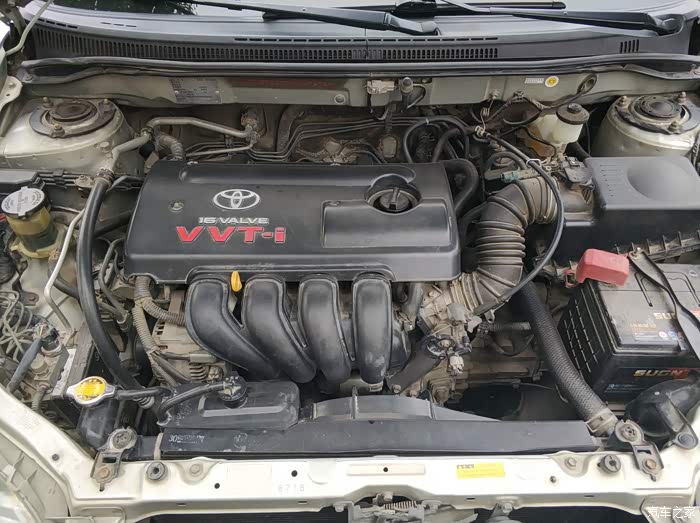 第一批花冠红头机车主还有吗