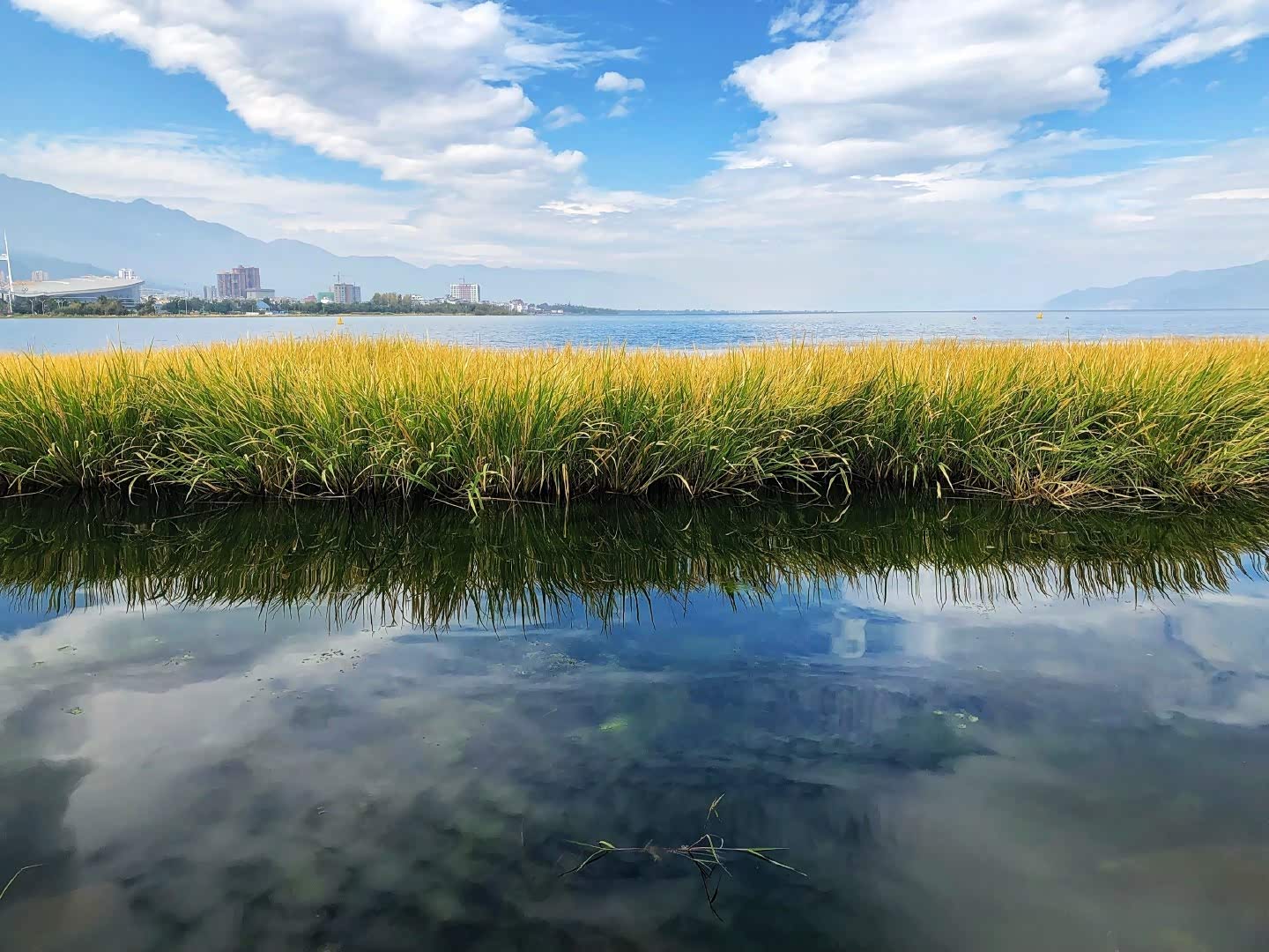 大理洱海,留下最美旅途回忆