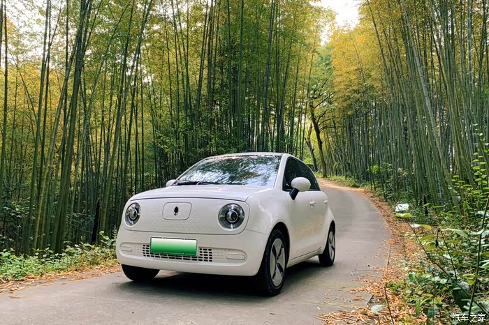 【图】竹林的深处有欧拉,留住不经意的美好_欧拉黑猫论坛_汽车之家