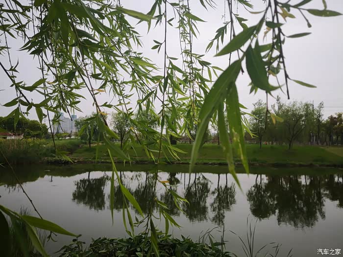 麦香春起时,闲来游春景