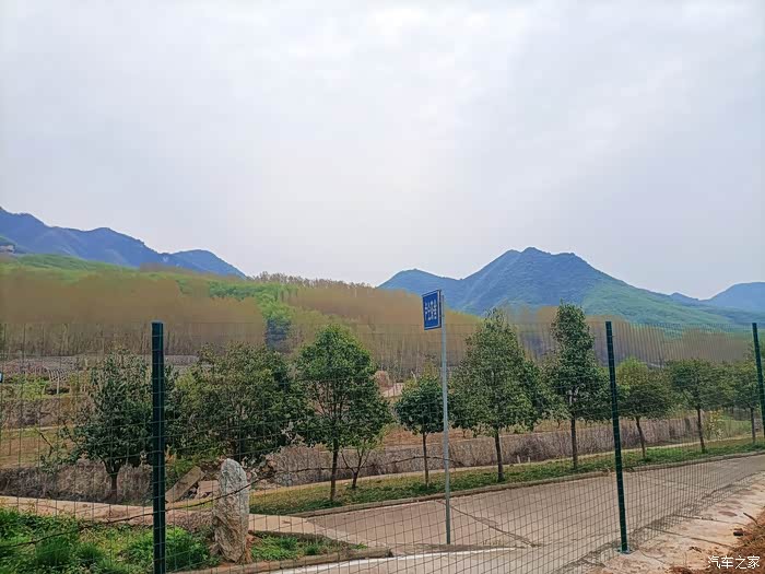 开着爱车旅游季卢仝茶园