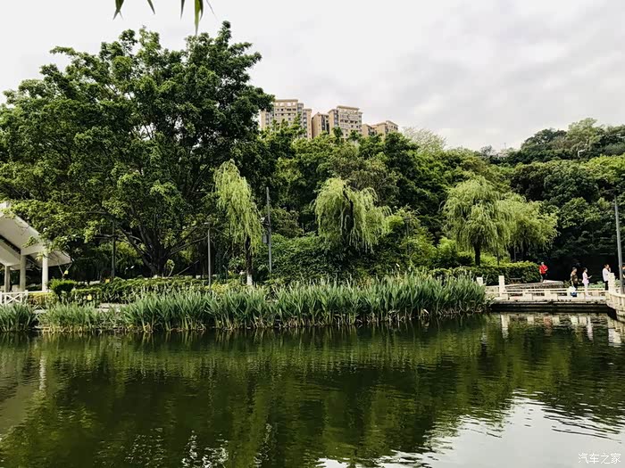 攀枝花市炳草岗竹湖园公园