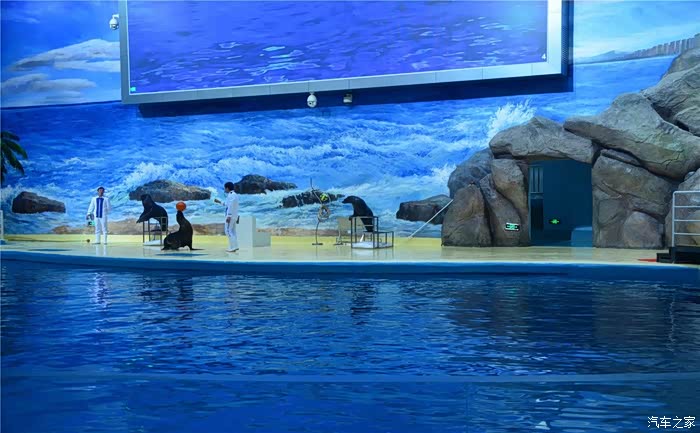 自驾荣威rx5带娃打卡罗源湾蓝色海洋世界