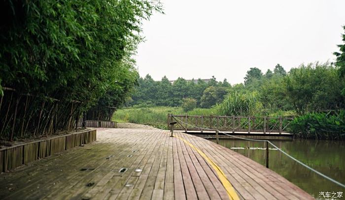 崇明东滩一日游图片