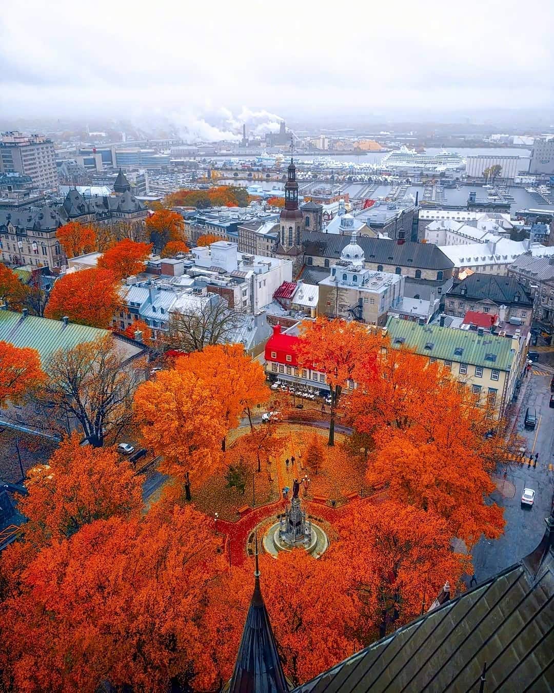 秋日魁北克的红色枫叶真的好美啊