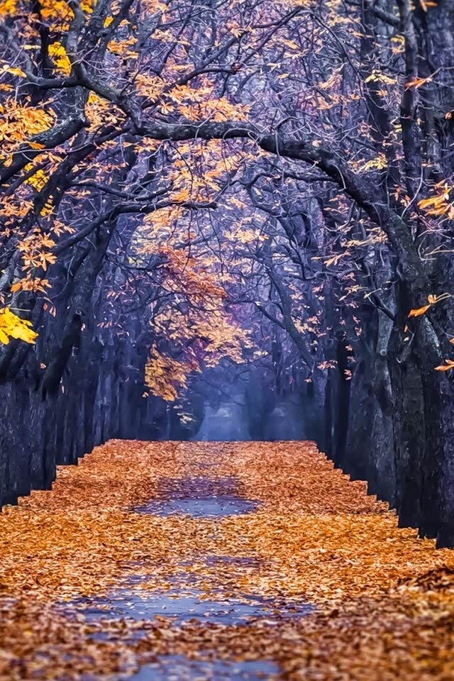 你不会错过的风景