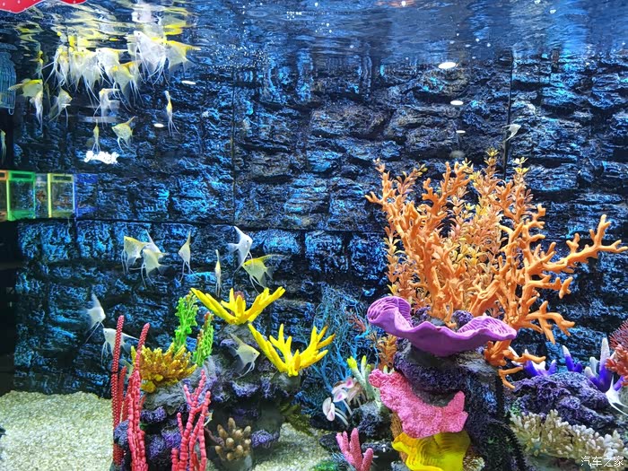 五彩缤纷的世界