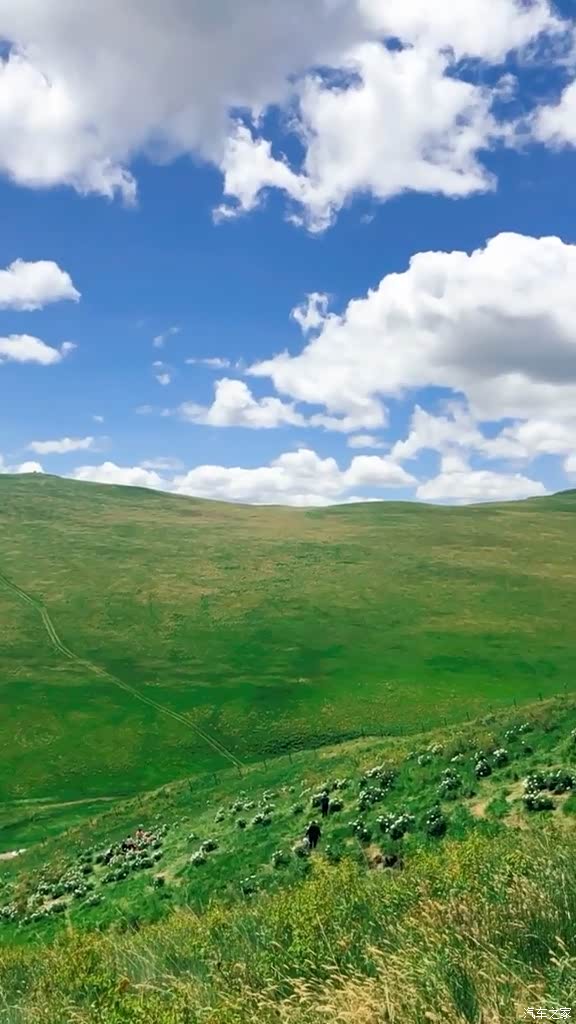 蓝天白云草原美景