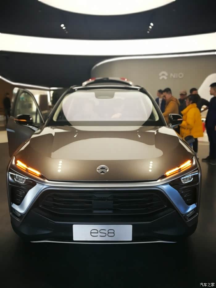 谁有极光棕的高清大图