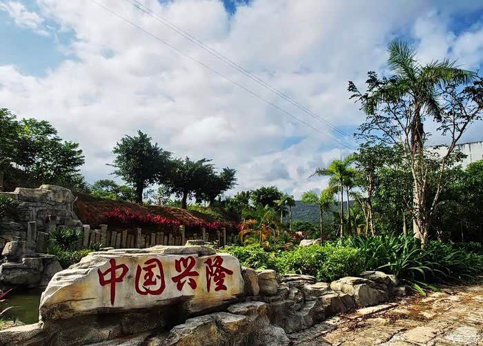 自驾上世纪的华侨农场兴隆咖啡谷