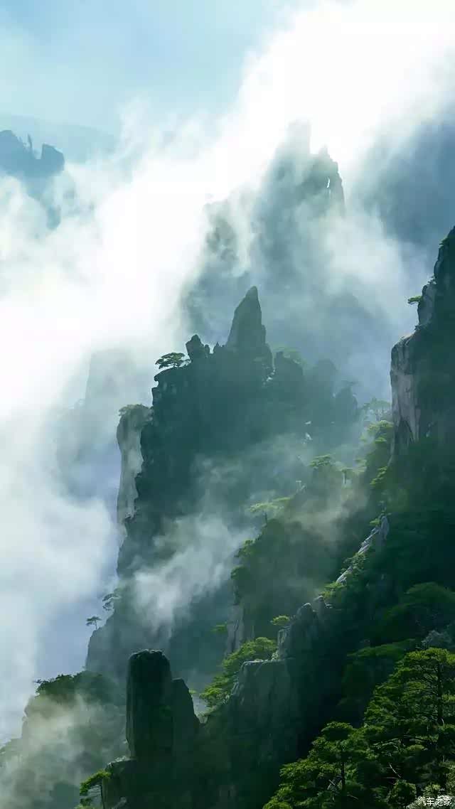 恍如人间仙境,美到极致!