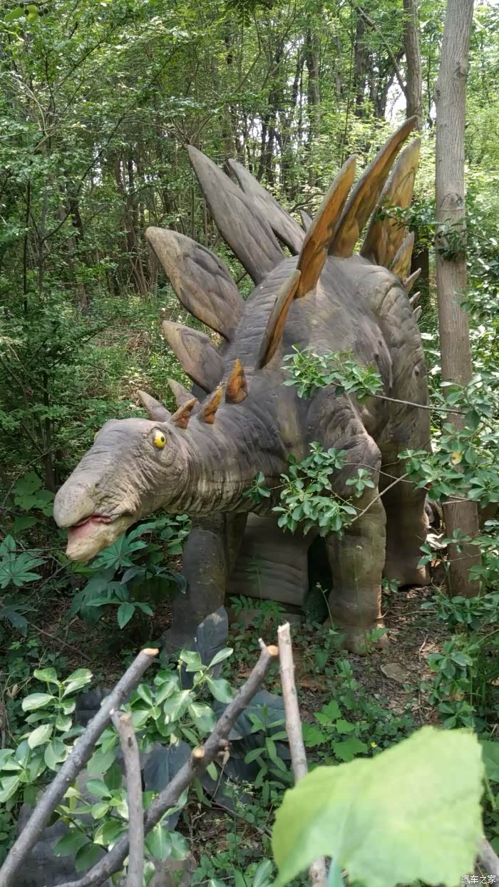 这只恐龙的眼睛!来搞笑的嘛
