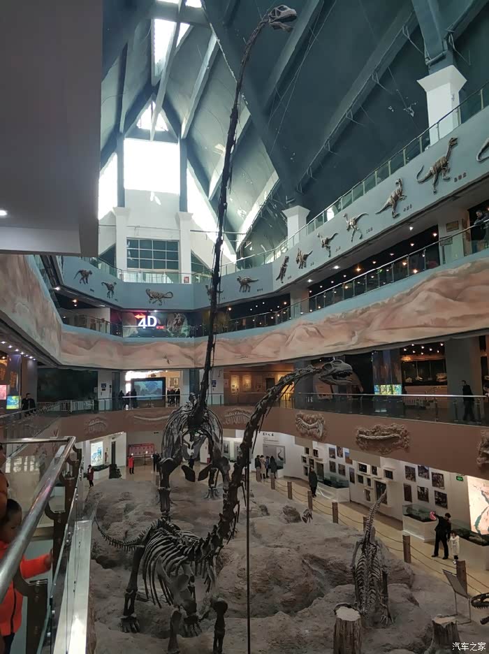 昌吉恐龙馆游玩
