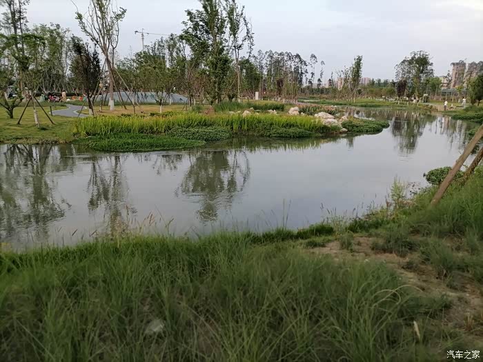 爱车让我们在夏季的傍晚畅游长流河公园,舒心又纳凉