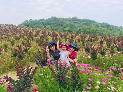 趁著春暖花開來到後嶺花開