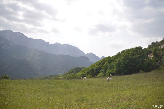 陝西奇駿大隊駿行自駕聯盟自駕流峪草甸野炊大盤雞高山草甸