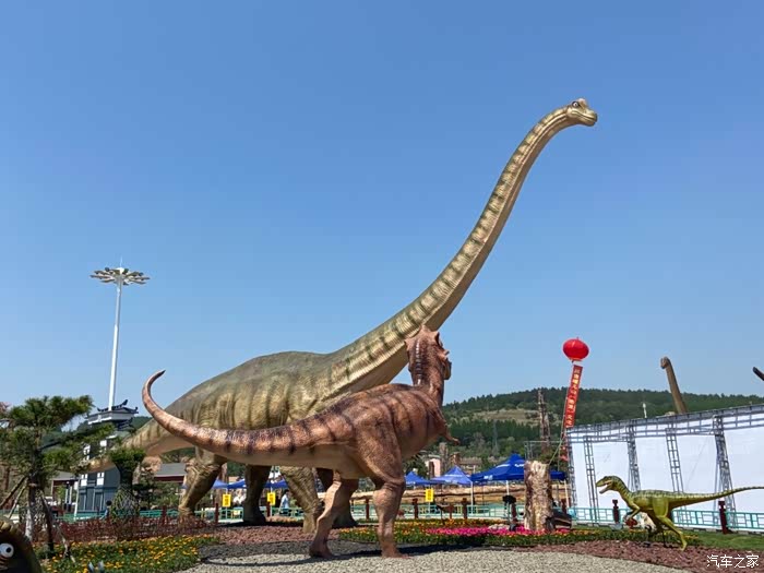 奔腾伴我平安行行走在恐龙生活的地方延吉恐龙博物馆
