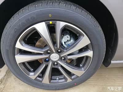 "逸"见钟情,遇见你 喜提爱车逸动plus