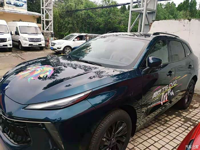 风行t5evo我的一见倾心