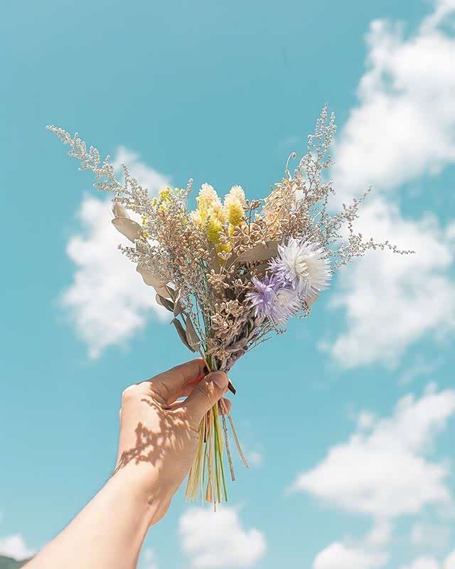 每个清晨都是朝气满满,早安朋友们!