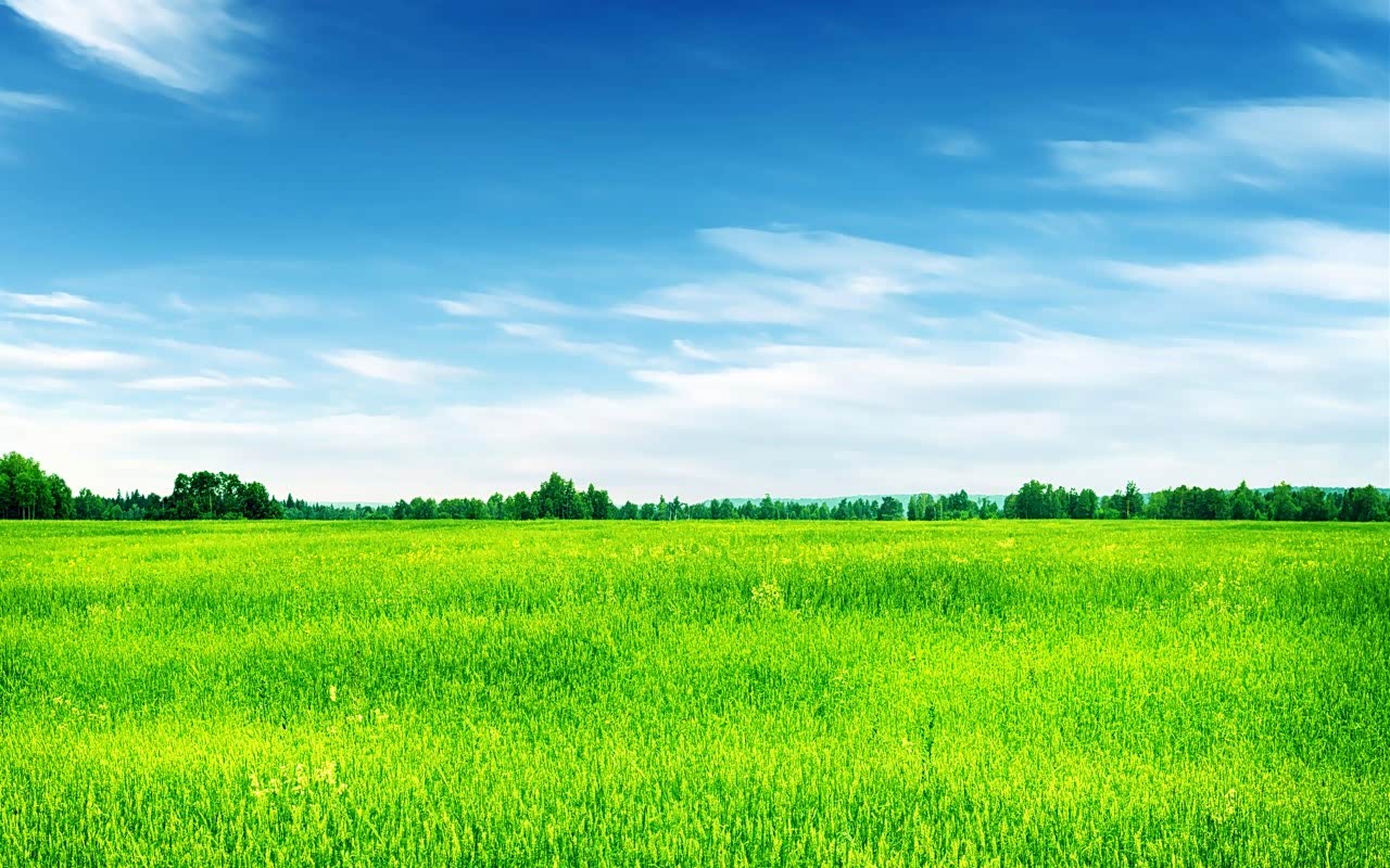 湖水是碧绿的飘着一层薄薄的雾宛如仙女