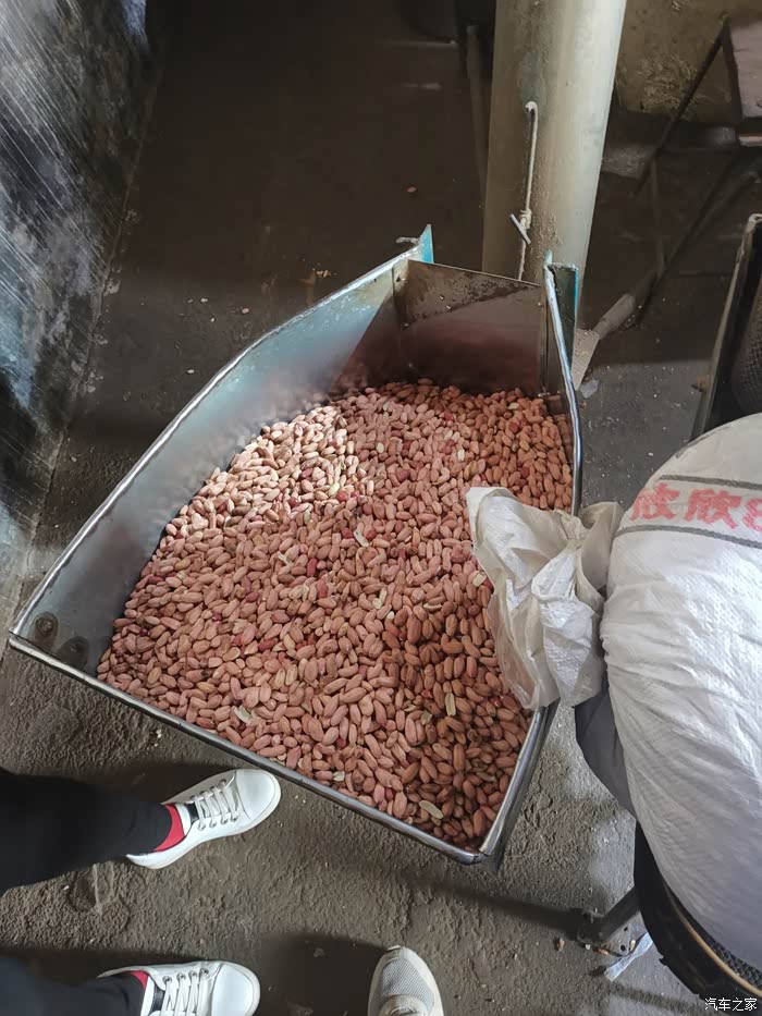 2020大征集货车奇骏拉着花生去挤油