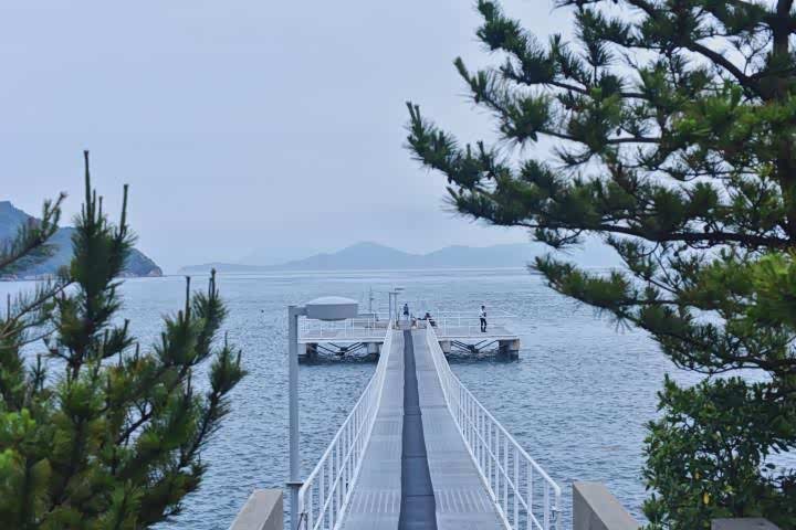 日本濑户内海很适合一个人去旅游的景点