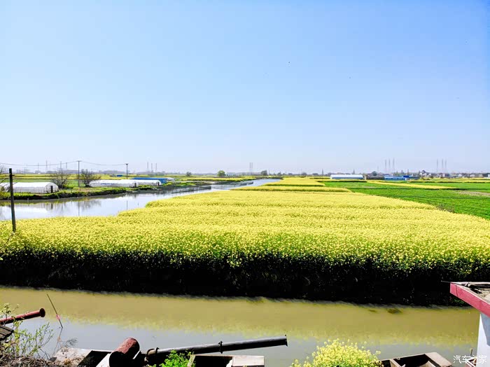 文子小长假回家探亲顺便赏家乡油菜花