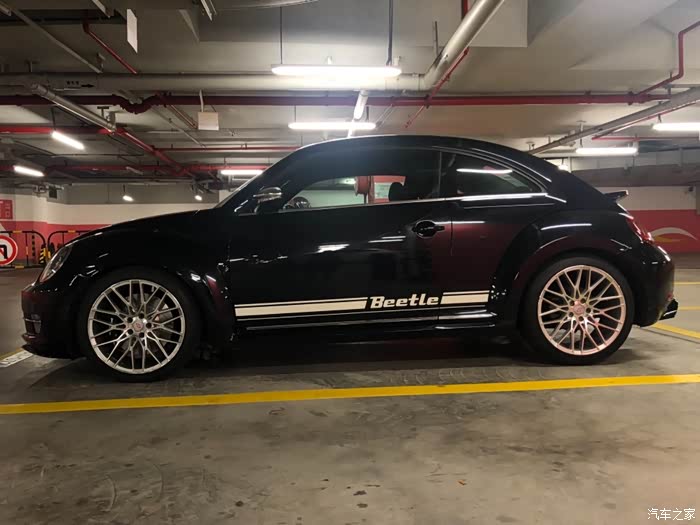 小弟的黑色甲壳虫