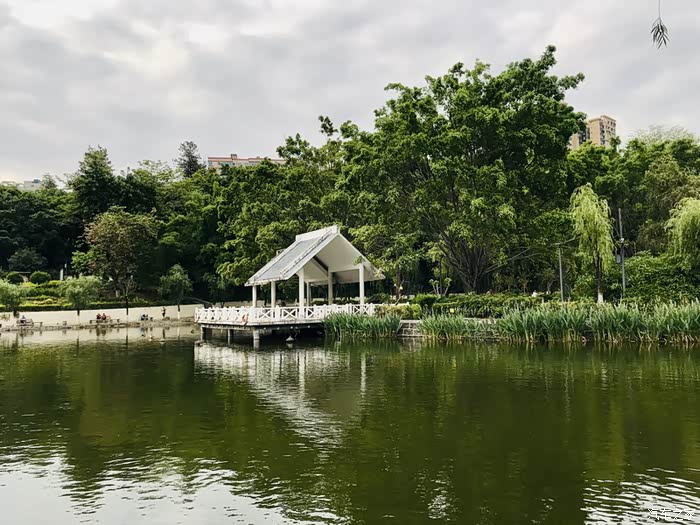 攀枝花市炳草岗竹湖园公园