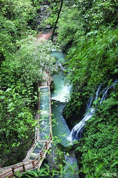 黑山谷景區位於重慶市萬盛區景星鄉,這裡山高林密