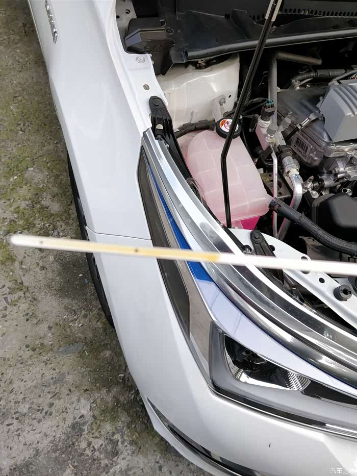 【图】双擎机油标尺_卡罗拉论坛_汽车之家论坛