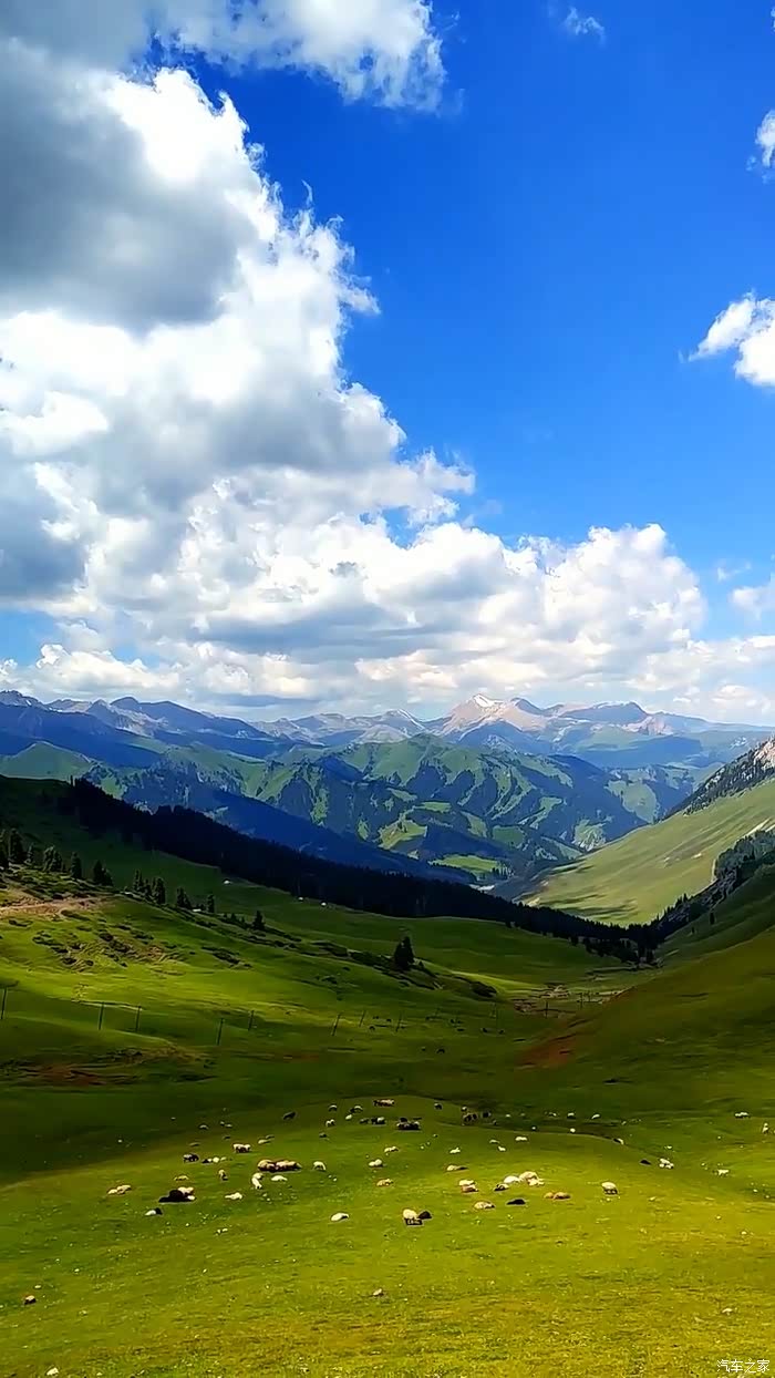 蓝天白云的草原美景