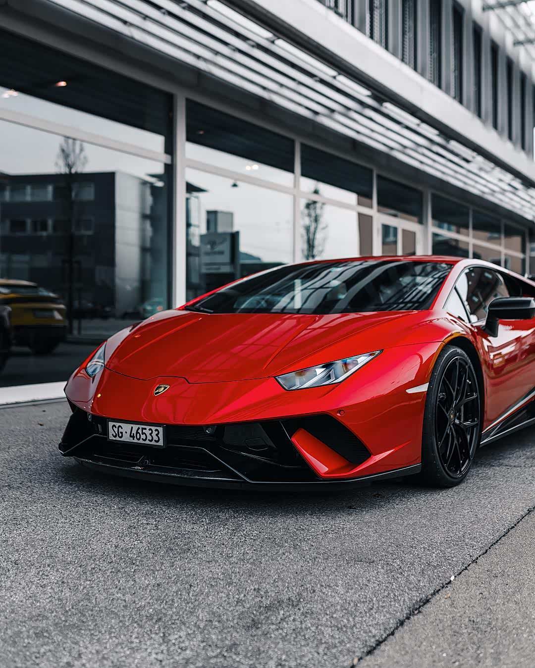 战斗气息十足的帅气红牛