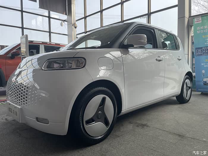 快喵大白猫来了