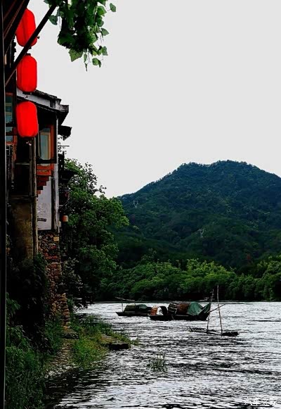 古樟,上千年了,枝繁叶茂.渡口,行人往来,宁静如斯.