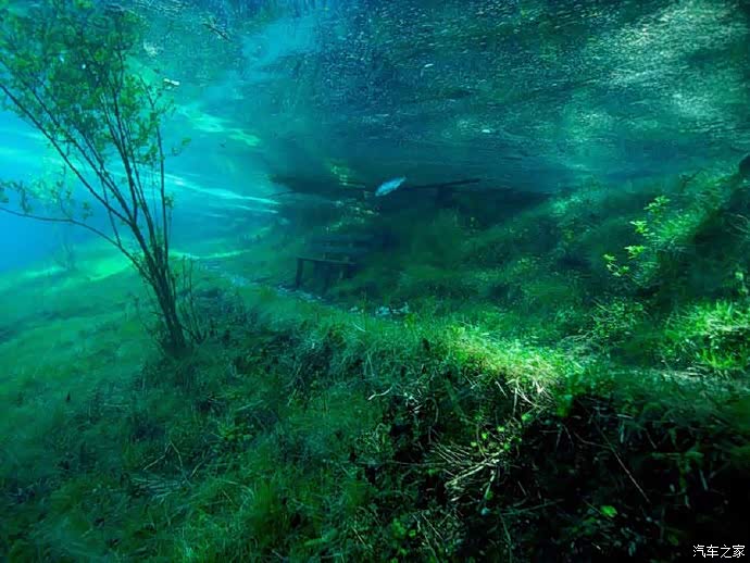 清澈见底的河底别有一番风景,戴上潜水装备去看看吧