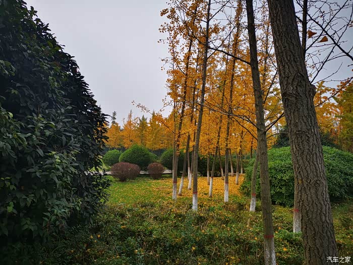 临潼鸣犊泉公园