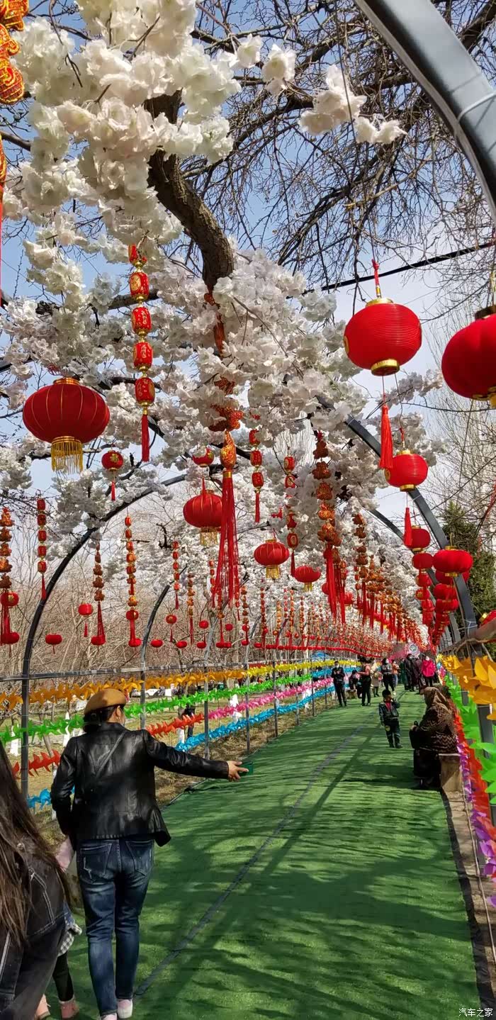 伊犁杏花节,美食与风景的邂逅