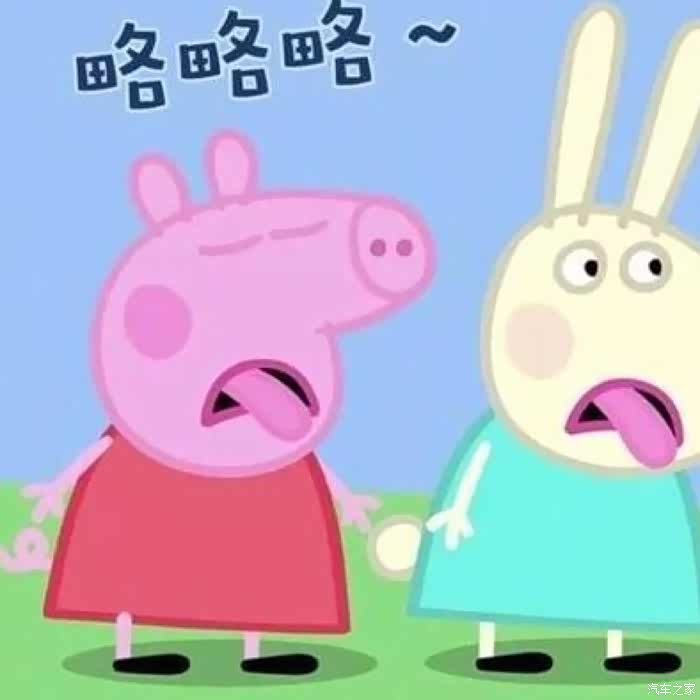 【图】购一台二手02_领克02论坛_汽车之家论坛