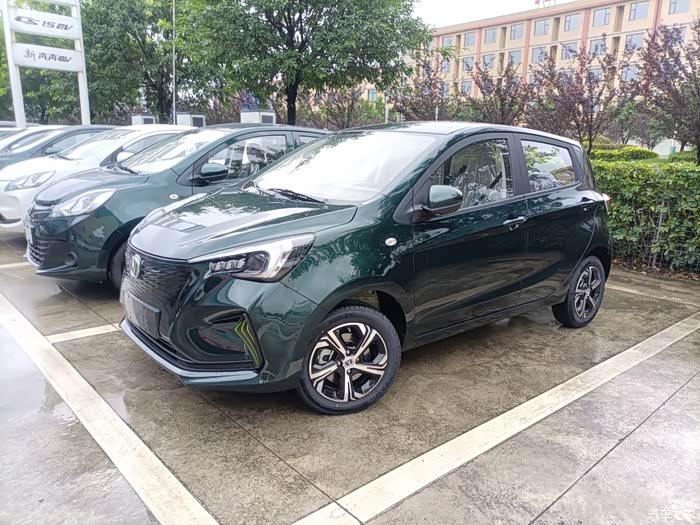 【图】20款墨绿!是订制款么?_奔奔e-star论坛_汽车之家论坛