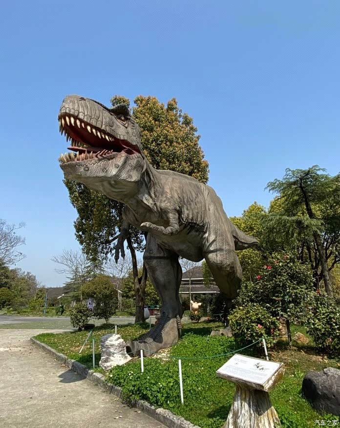 自驾mgzs打卡杭州恐龙梦公园