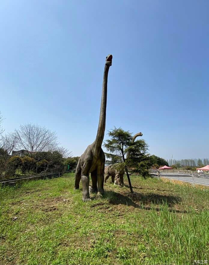 自驾mgzs打卡杭州恐龙梦公园