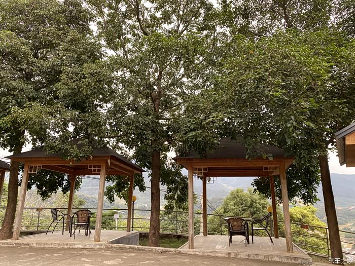 打卡——南靖南坑咖啡园