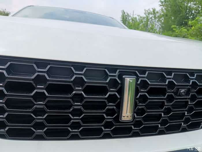 竖立的车标很是霸气!