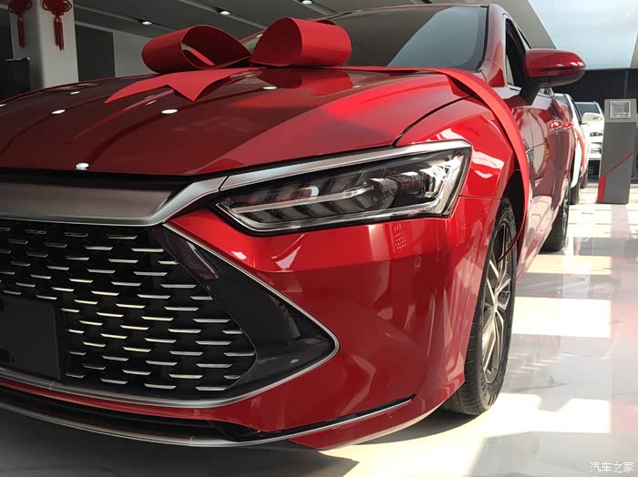 赤帝红适合男生么